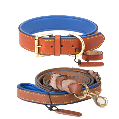 PetsUp Stylish Dog Leash & Neck Coller Combo