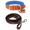 PetsUp Stylish Dog Leash & Neck Coller Combo