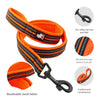 PetsUp Nylon Small Medium Large 200cm Long Dogs Reflective Leash