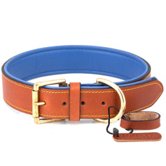 Dog Collars