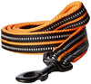 PetsUp 3M Padded Reflective Dogs Leash 110cm Long