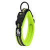 PetsUp Metal Dog Collar Neck Belt for Dogs (Reflective Collars- Green)